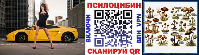 Галлюциногенные грибы мицелий  что такое   Родники 